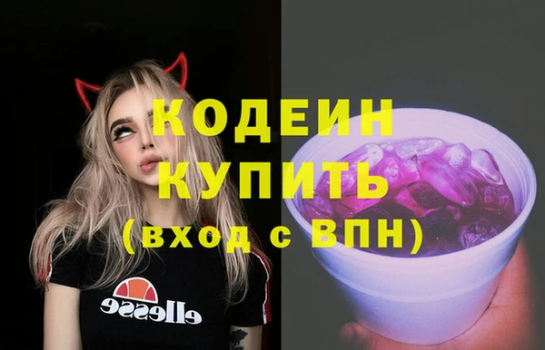 соль ск Кукмор