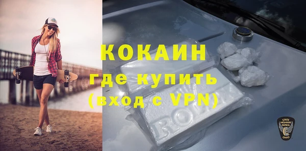 соль ск Кукмор