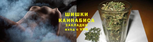 соль ск Кукмор