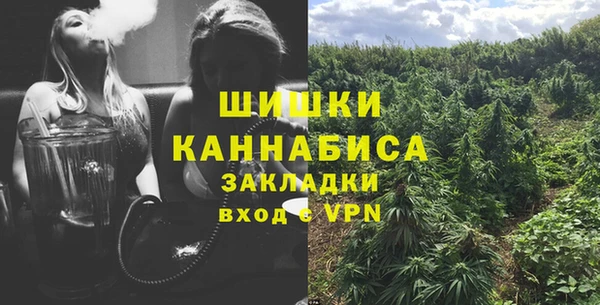 соль ск Кукмор