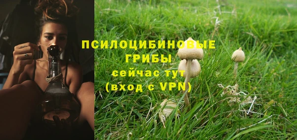 соль ск Кукмор