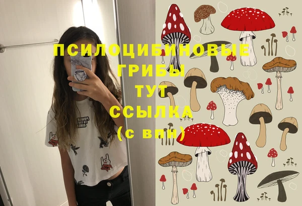 прущие крисы Куйбышев