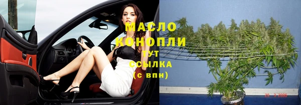 соль ск Кукмор